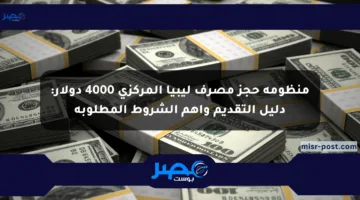 منظومة حجز مصرف ليبيا المركزي 4000 دولار: دليل التقديم وأهم الشروط المطلوبة